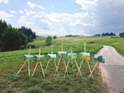 1 o 8 agosto 2026 – Pittura a olio en-plein-air